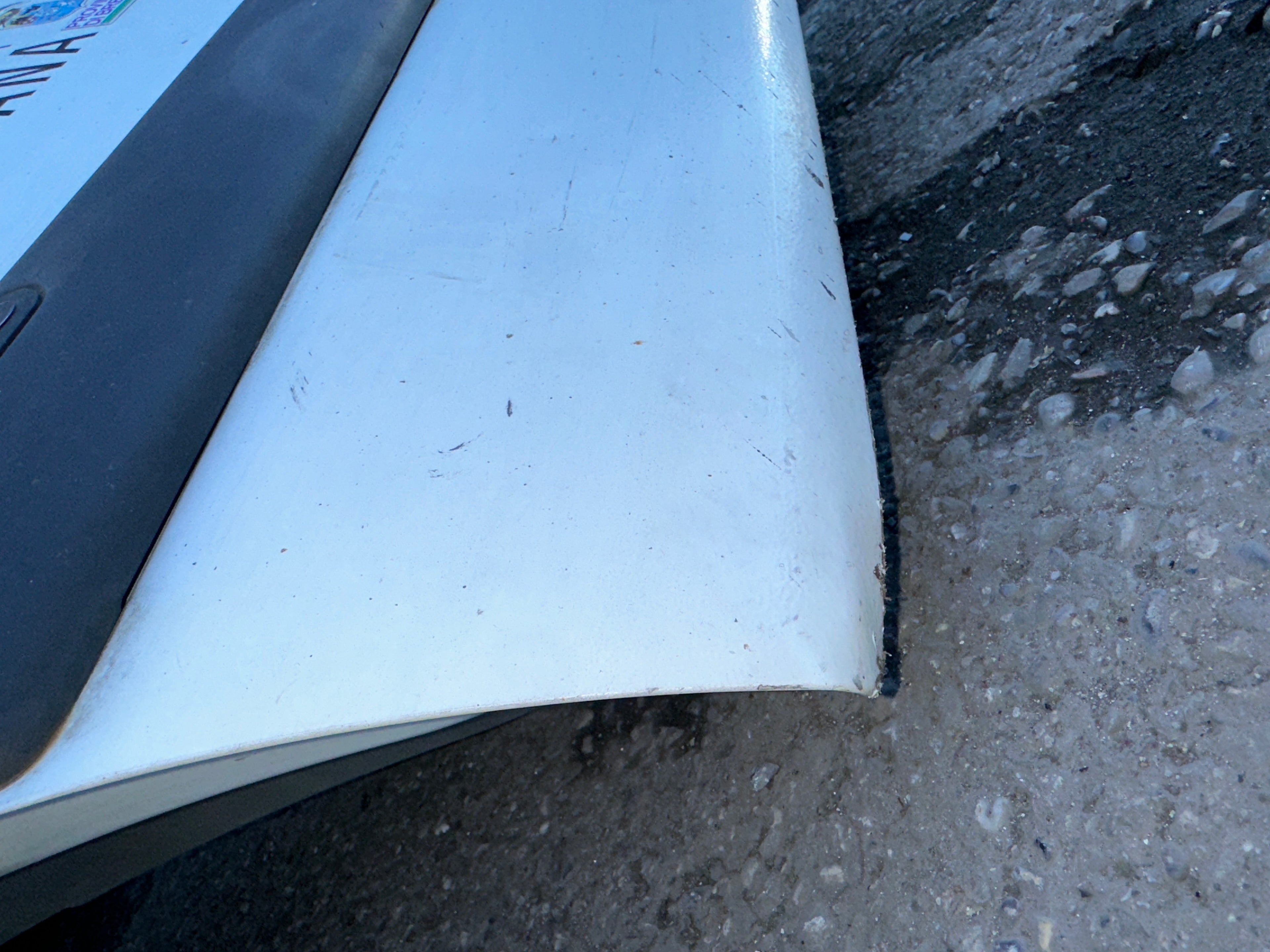 Portiera Lato Guida Renault Master dCi 120 2006 usata